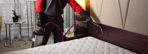 main_bed-bug-treatment